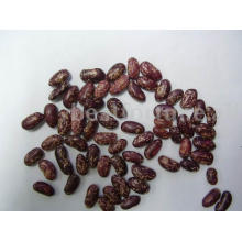 red speckled Kidney Beans